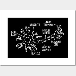 Neuron Diagram In White Posters and Art